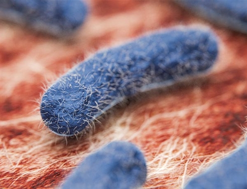 Legionella Awareness