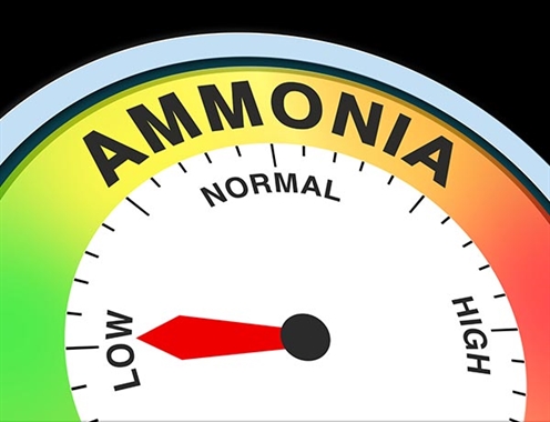 Ammonia Management